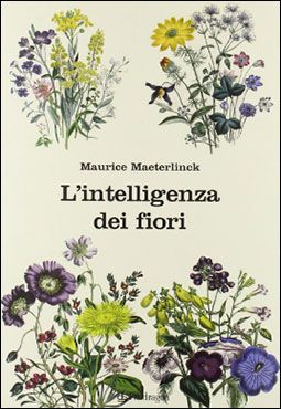 maeterlinckintelligenzadeifiori