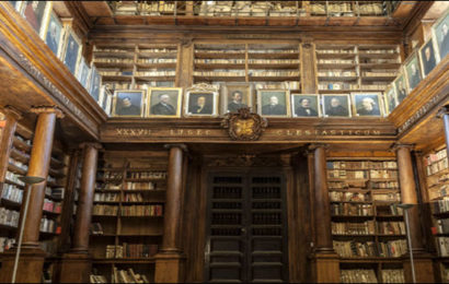 La biblioteca in gioco – Francesco Mazzetta