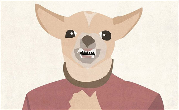 Il grande chihuahua – Luca Raimondi e Joe Schittino